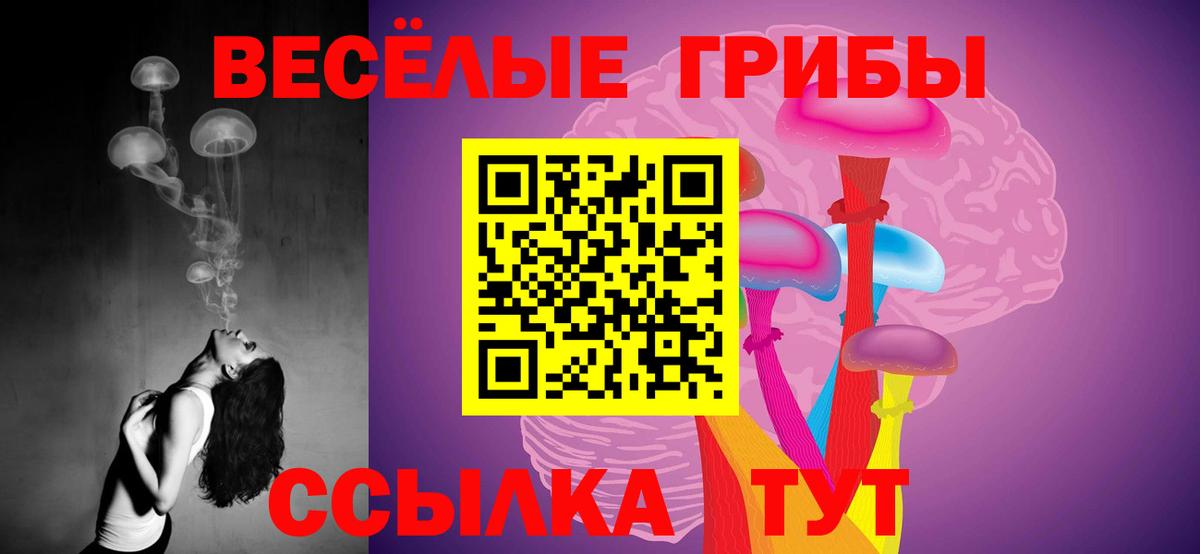 Псилоцибиновые грибы Cubensis  Вход с VPN  Ижевск  Галлюциногенные грибы Cubensis 